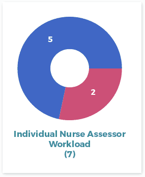 Individual_Nurse_Assessor_Workload(7)